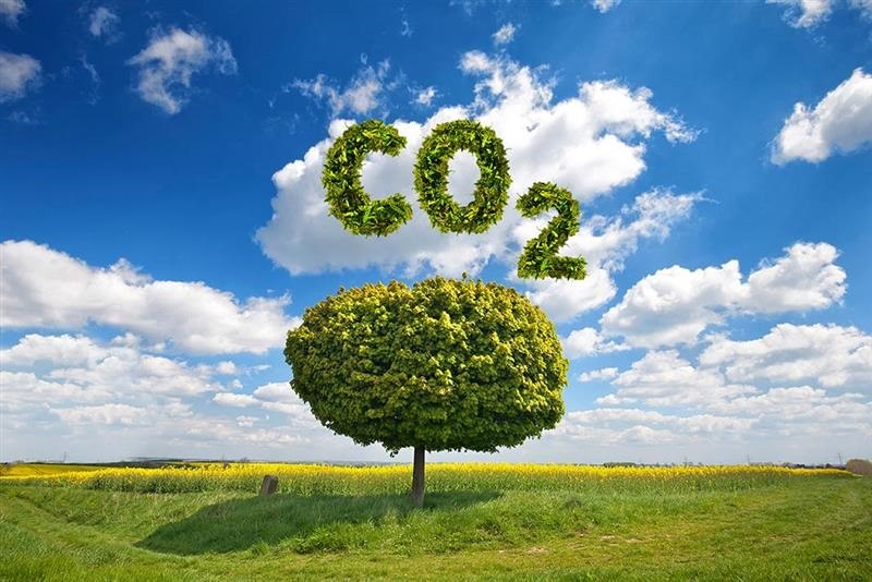 Parexel’s Near-Term Greenhouse Gas Reduction Targets Validated By SBTi
